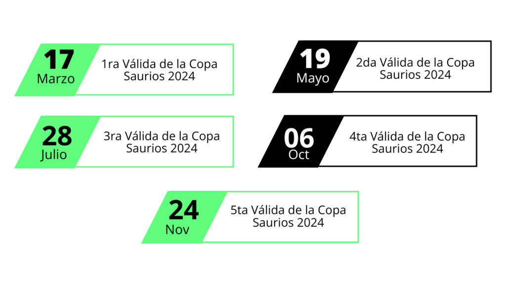 Calendario copa saurios 2024